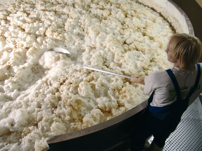 Fermenting barley